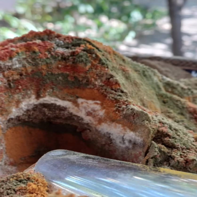 انواع ادویه مخلوط